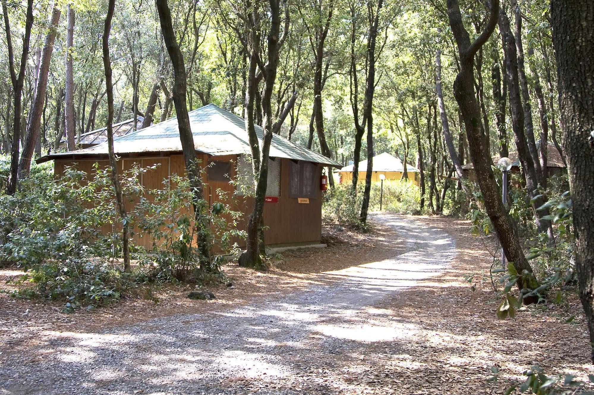 Villaggio Club Cecina Marina di Cecina Kültér fotó